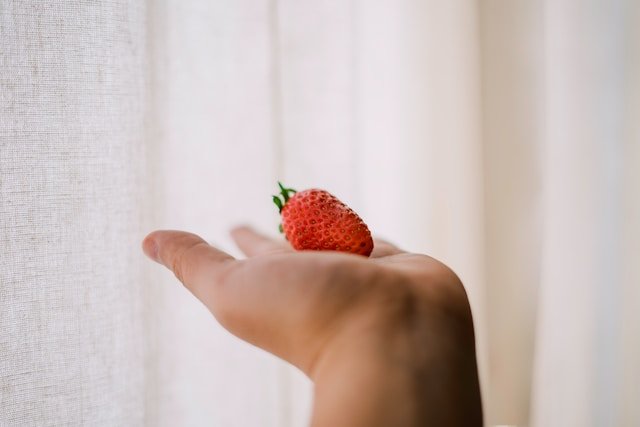 Growing Tips For Strawberry Vanilla Hydrangea