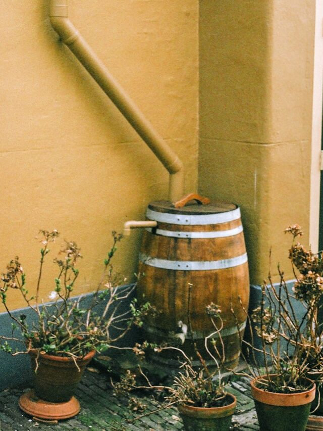 Build Your Own Rain Barrel In 10 Easy Steps